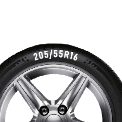 Picto pneu 205/55 116 pouces