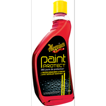 Paint-protect-MEGUIRRS-230725 Paint-protect-MEGUIRRS-230725