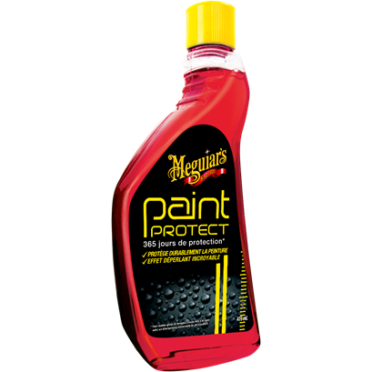 Paint-protect-MEGUIRRS-230725